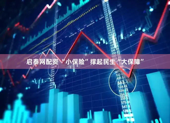 启泰网配资 “小保险”撑起民生“大保障”