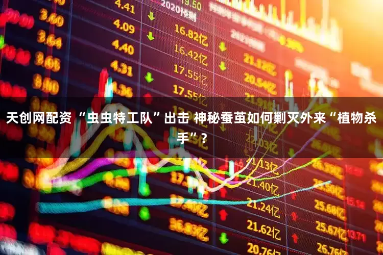 天创网配资 “虫虫特工队”出击 神秘蚕茧如何剿灭外来“植物杀手”？