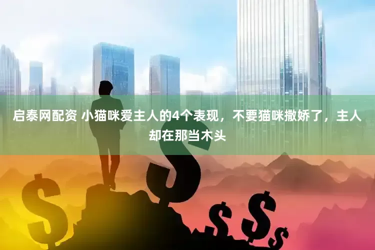 启泰网配资 小猫咪爱主人的4个表现，不要猫咪撒娇了，主人却在那当木头