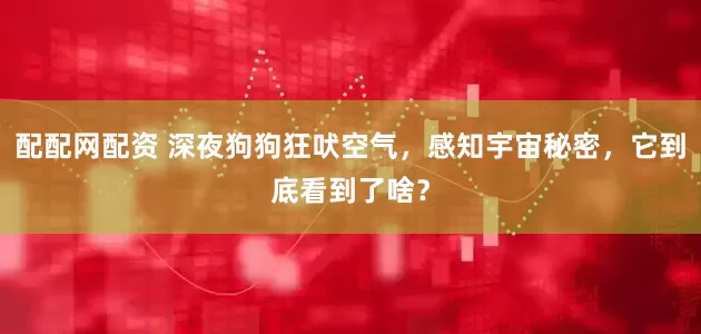 配配网配资 深夜狗狗狂吠空气，感知宇宙秘密，它到底看到了啥？
